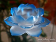 SVIJEĆNJAK - LOTOSOV CVIJET 